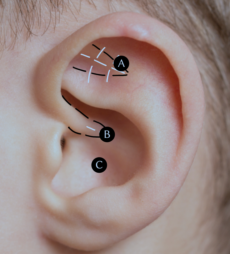 EAR SEED POINTS FOR KIDS